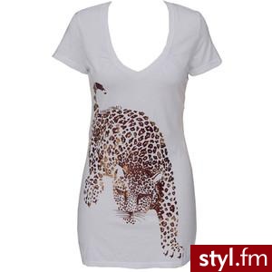 Zdjęcie dodane do bazy zdjęć Stylera - Styler