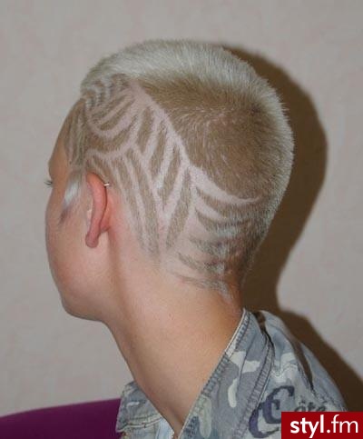 Punk Rock Alternatywne Średnie Fryzury