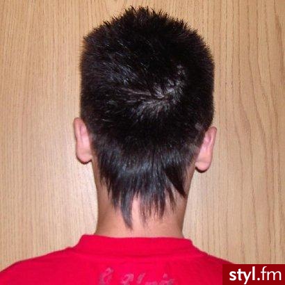 Punk Rock Alternatywne Średnie Fryzury