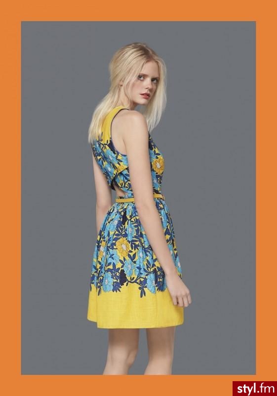 Sukienki Moda