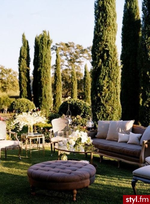 Ogród