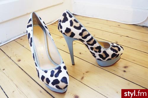 Szpilki Buty Moda