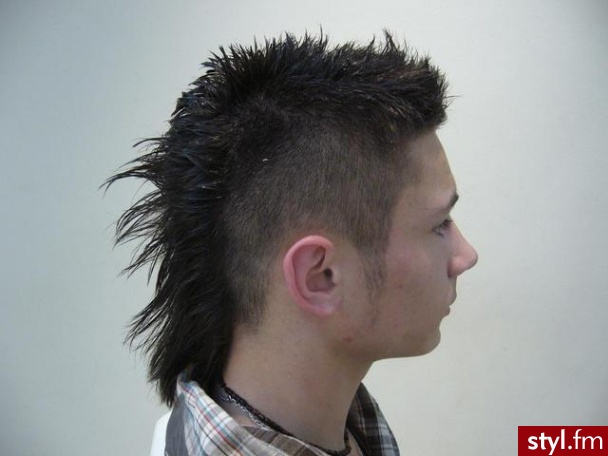 FRYZJER : Dawid 
Zielona Góra : Auchan - Punk Rock Alternatywne Średnie Fryzury