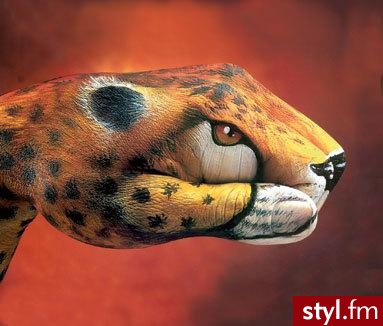 hand paint - Misz-masz