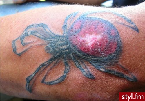 spider!:D - Tatuaże