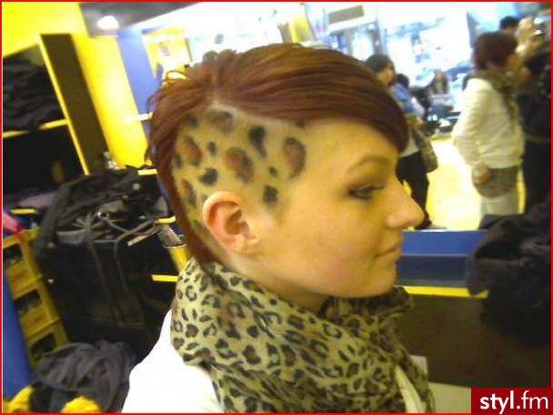 Punk Rock Alternatywne Średnie Fryzury