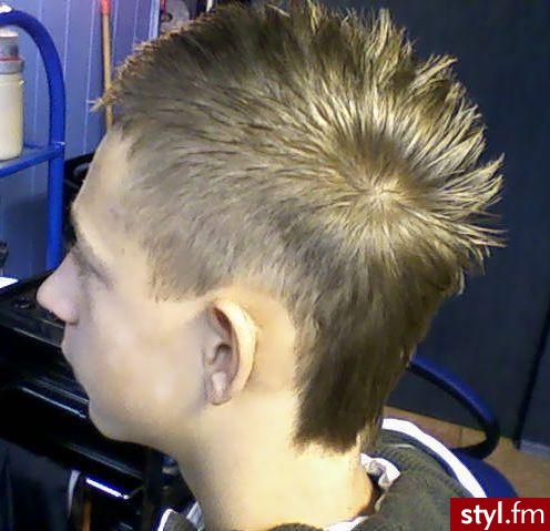 Punk Rock Alternatywne Średnie Fryzury