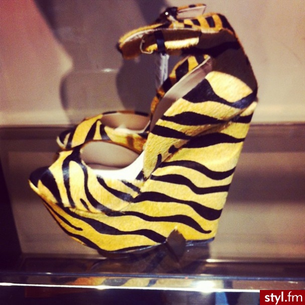 Koturny Buty Moda