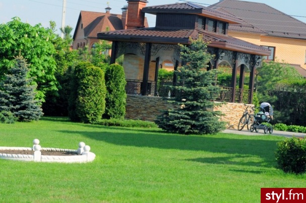 Ogród