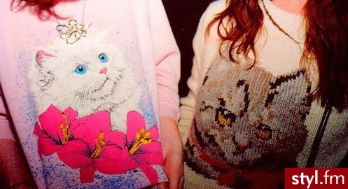 Swetry Ciuchy Moda