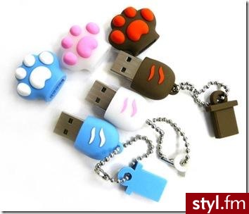 Pendrive. Pendrive  -  Łapki :D - Misz-masz