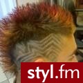 Punk Rock Alternatywne Średnie Fryzury