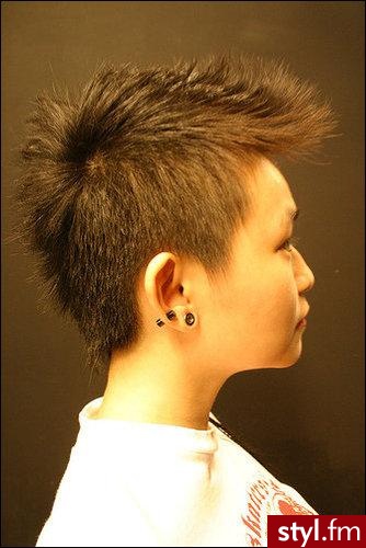 Punk Rock Alternatywne Średnie Fryzury