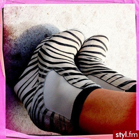 Koturny Buty Moda