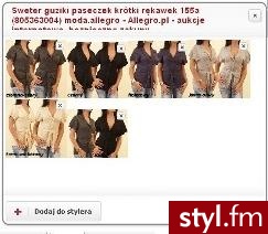 Styler - Galerie mody. Pobrano ze strony: http://styl.fm/stylerfm/opis - Misz-masz