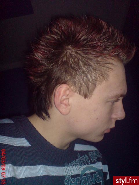 Punk Rock Alternatywne Średnie Fryzury