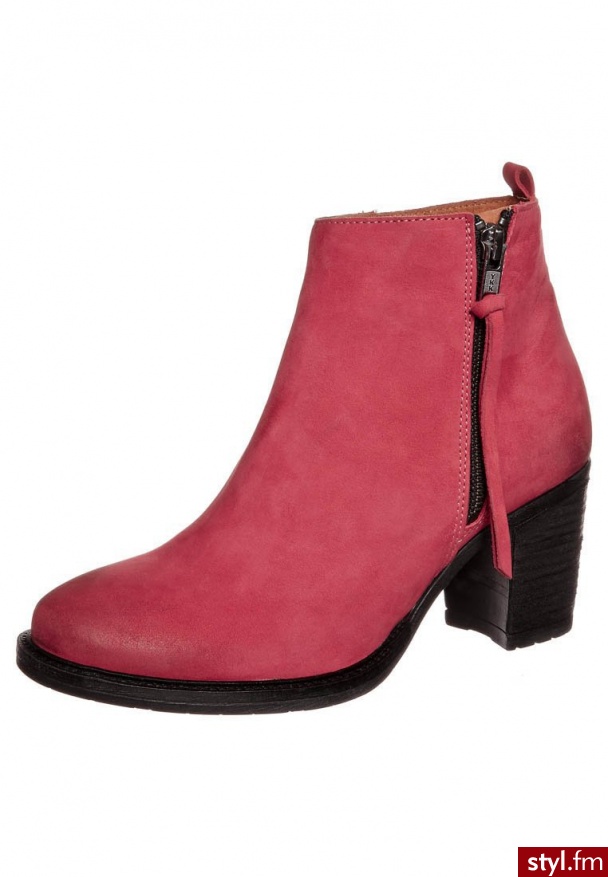 zign Botki czerwony (2029) - Botki Buty Moda