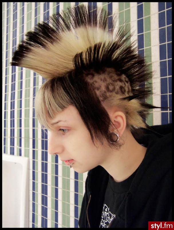 Punk Rock Alternatywne Średnie Fryzury
