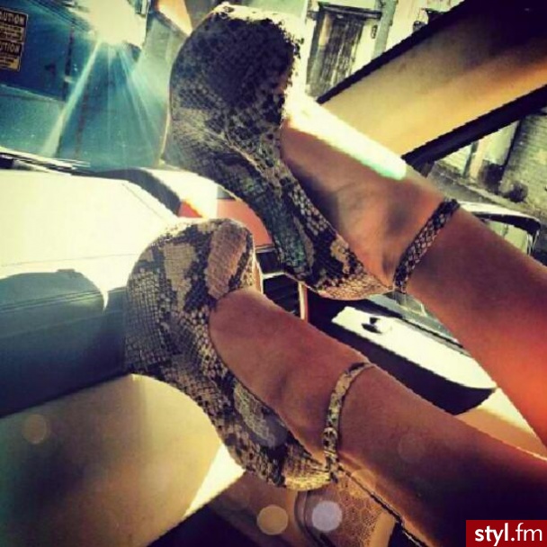 Koturny Buty Moda