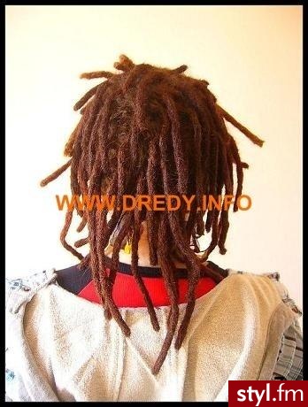 DREDY-WARKOCZYKI -> www.dredy.info - Dredy Alternatywne Średnie Fryzury