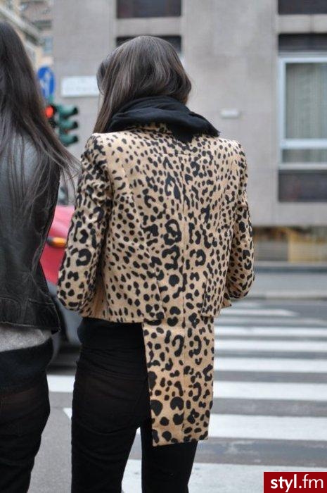 Pozostałe Bielizna Moda