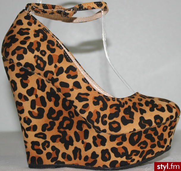 Koturny Buty Moda