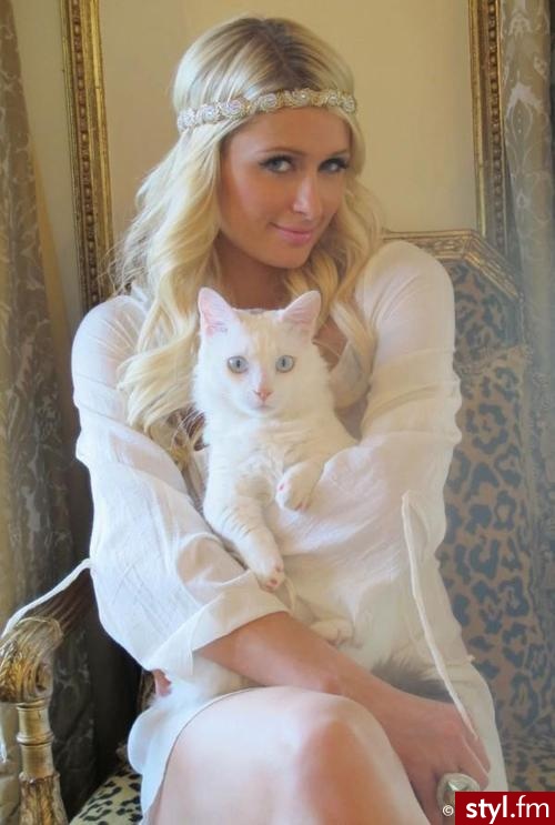 Blond Rozpuszczone Kręcone Na co dzień Średnie Fryzury