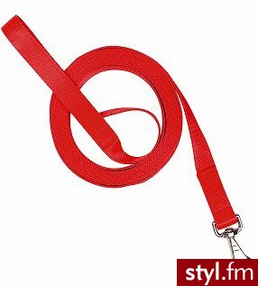 Chaba SMYCZ TRENINGOWA TAŚMA - KOLOR CZERWONY SZEROKOŚĆ 2CM DŁUGOŚĆ 15M - Psy Zwierzaki