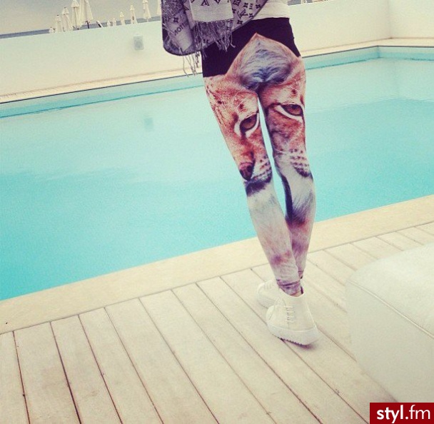 Leginsy Spodnie Moda