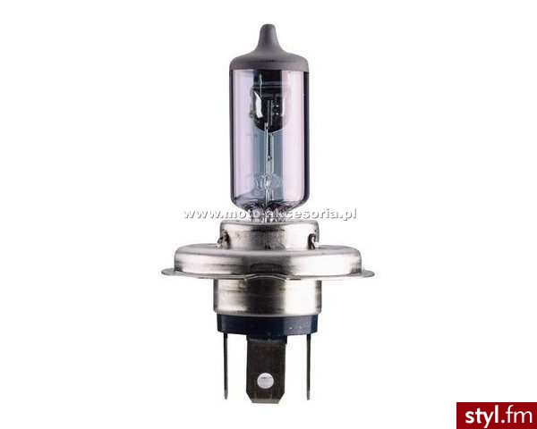 Narva Żarówka Halogenowa P43T H4 12V 6055W Range Power Blue - Pozostałe Buty Moda