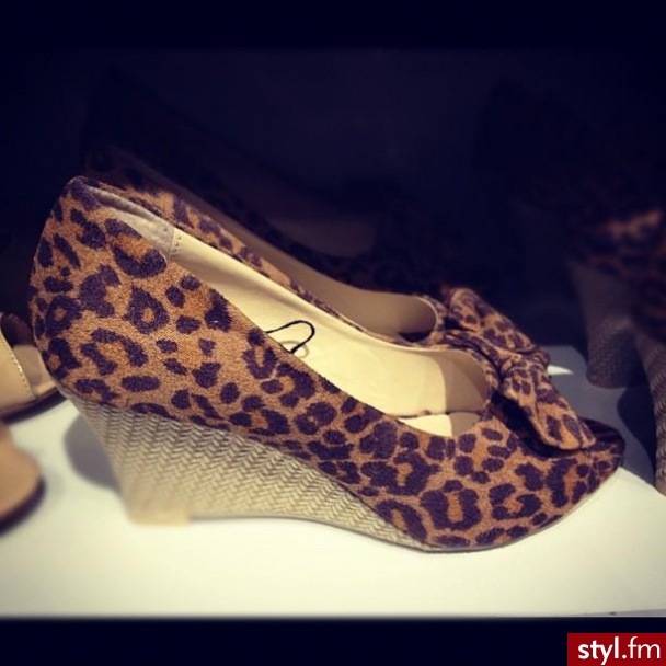 Koturny Buty Moda