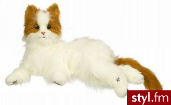Hasbro Fur Real Friends Kotek 89987 - Dziecko