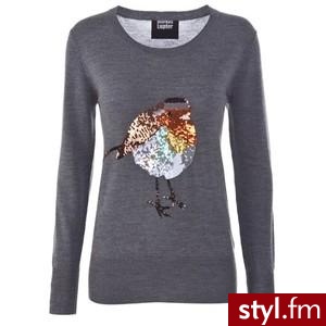 Grey Markus Lupfer Sweater with Sequin Robin - Polyvore. Pobrano ze strony: http://www.polyvore.com/cgi/thing?id=19130470&.locale=pl - Pozostałe Ciuchy Moda