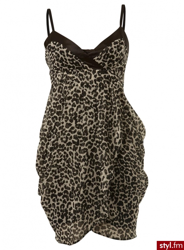 Miss Selfridge. Miss Selfridge - Pozostałe Ciuchy Moda