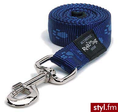 ROGz Smycz 25mm / 120cm (rozmiar XL) Everest HL27 kolor: B - Psy Zwierzaki