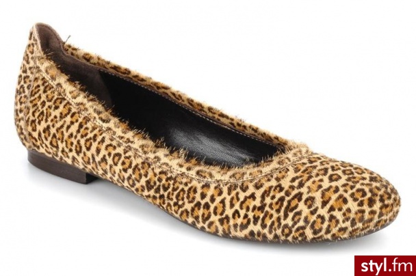 Georgia Rose BALERINKI CECILIE BY (BRĄZOWY) (Brązowy) - Balerinki Buty Moda