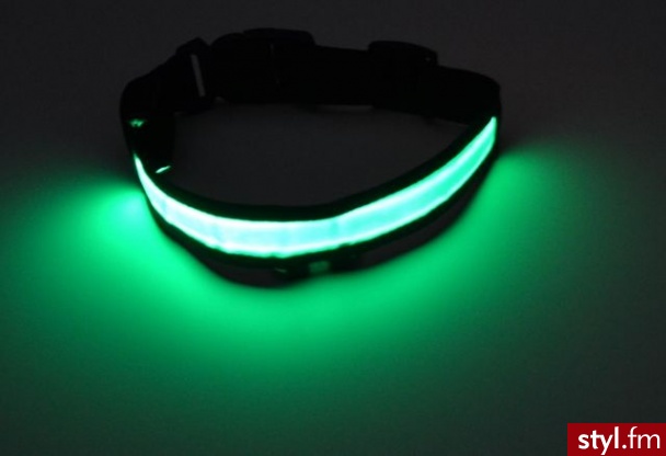Świecąca obroża dla psa.Najnowszy wynalazek technologii LED–obroża LED pozwoli Ci widzieć Twojego czworonoga z daleka po zapadnięciu zmroku. (do wyboru jeden z 3 trybów świecenia-miganie szybkie, miganie wolne, światło ciągłe).Różne kolory. LEDco.pl - Zwierzaki