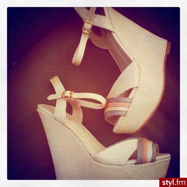 Koturny Buty Moda
