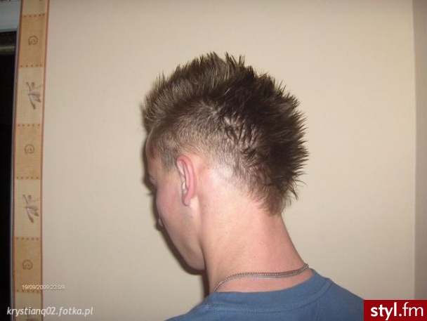 Punk Rock Alternatywne Średnie Fryzury