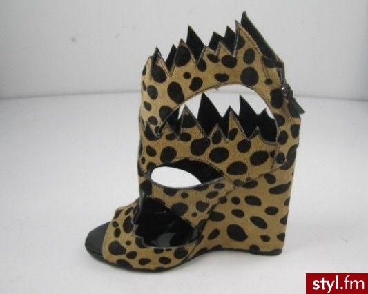 Koturny Buty Moda