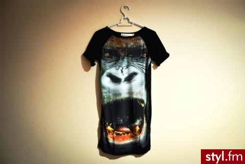 Topy Ciuchy Moda