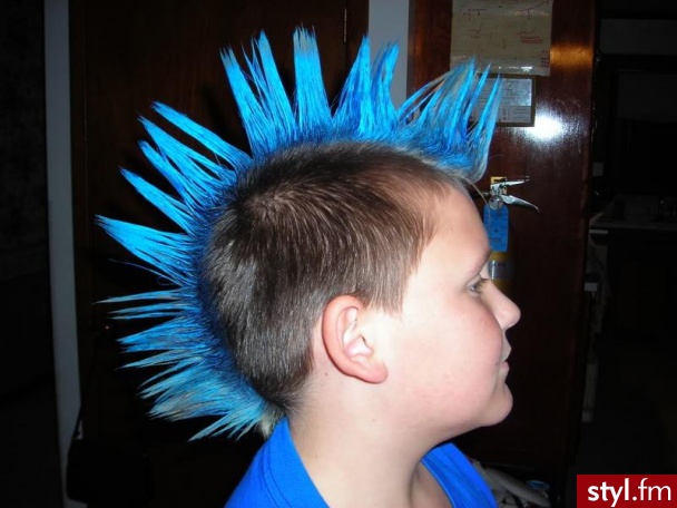 Punk Rock Alternatywne Średnie Fryzury