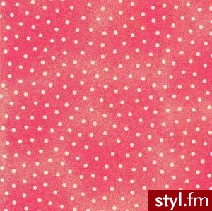 Zdjęcie dodane do bazy zdjęć Stylera - Styler