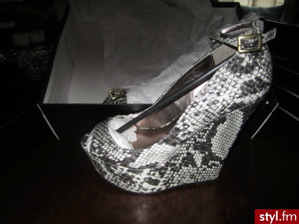 Koturny Buty Moda