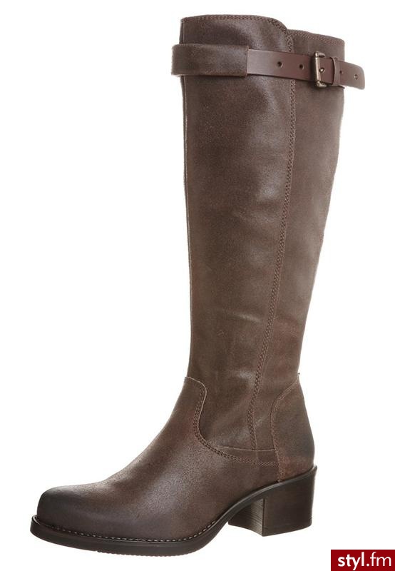 Zign Kozaki  brązowy - Kozaki Buty Moda