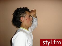 Punk Rock Alternatywne Średnie Fryzury