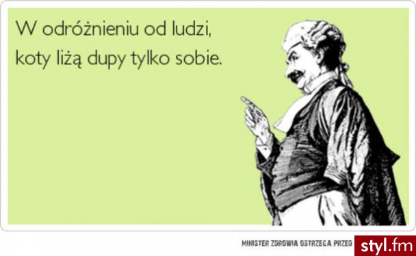 Misz-masz
