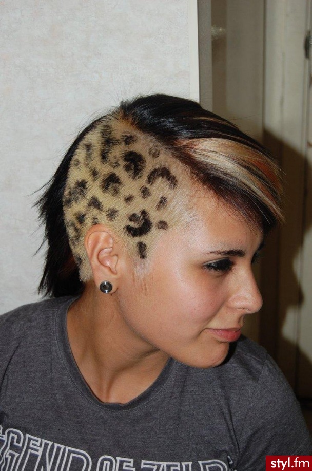 Punk Rock Alternatywne Średnie Fryzury
