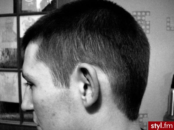 Punk Rock Alternatywne Średnie Fryzury