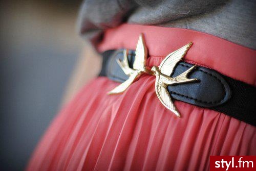 Paski Dodatki Moda